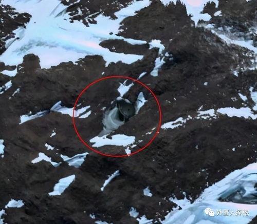 南极最新爆料,揭秘未知的冰原奥秘