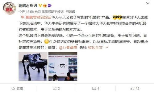 大狗最新爆料图片大全,图片大全揭秘幕后真相