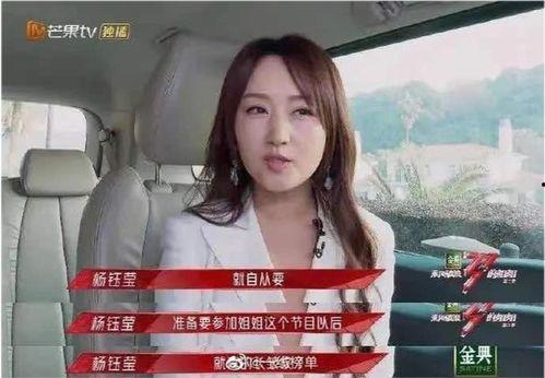 璐姐大人物爆料视频大全,揭秘娱乐圈幕后真相